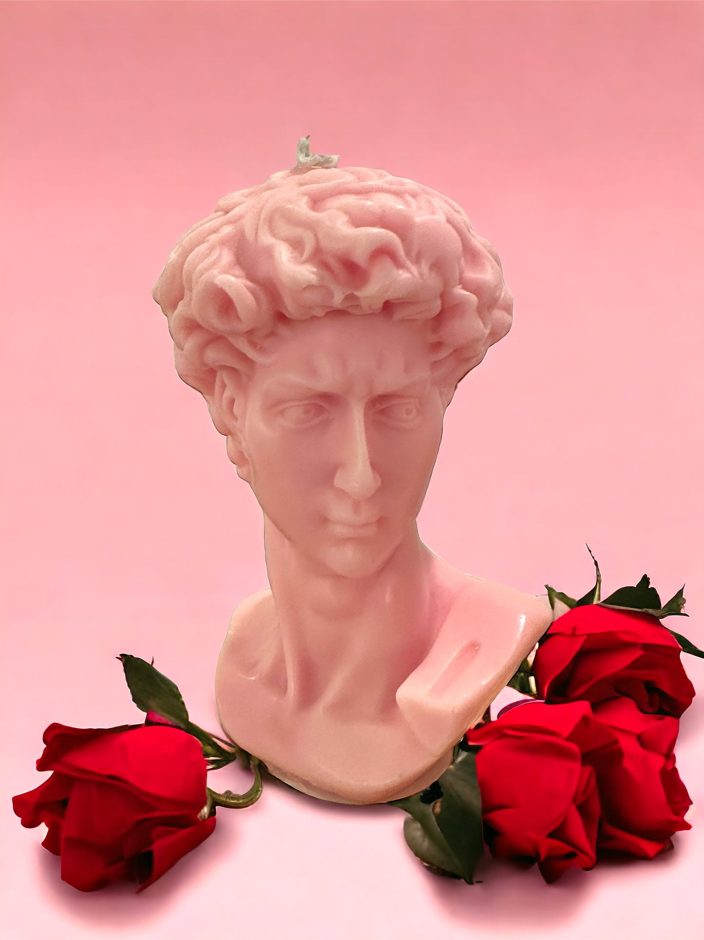 David Head Bust